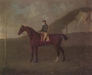 John Nost Sartorius 'Creeper' a Bay colt with Jockey up at the Starting post at the Running Gap in the Devils Ditch,Newmarket painting